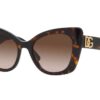 SUNČANE NAOČALE Dolce Gabbana Dolce Gabbana DG 4405 SOLE 502/13 53 Ženske